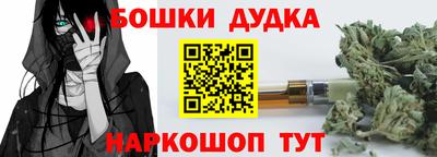 молекула духа Новозыбков